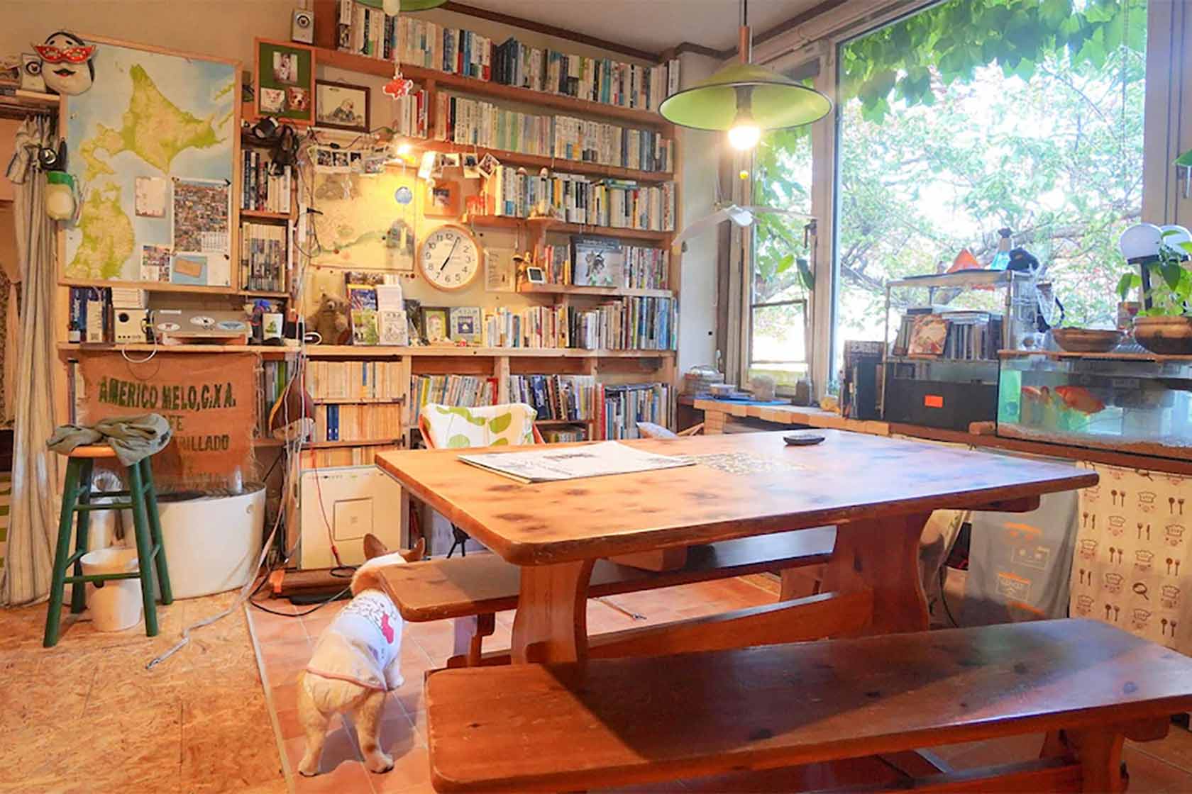 おたるないバックパッカーズホステル 杜の樹