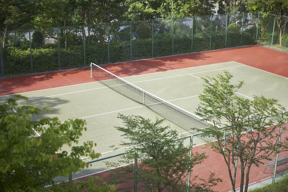 ホテルマイステイズプレミア成田 成田
