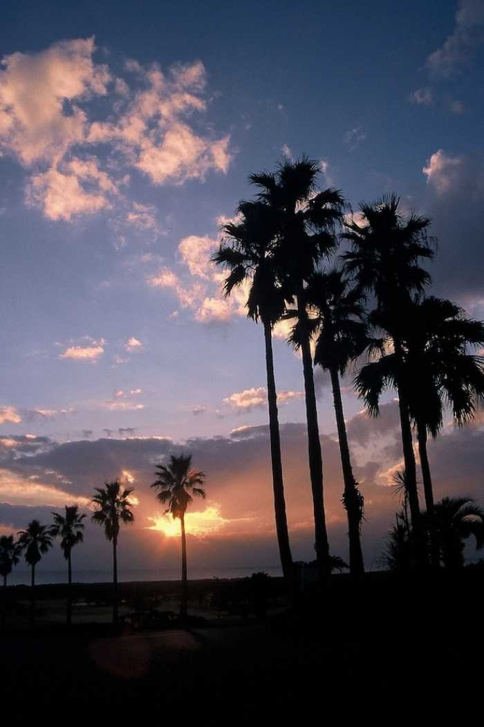 休暇村 館山 成田