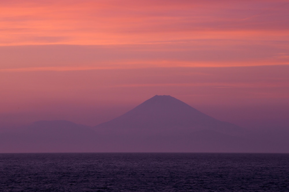 夕日海岸昇鶴 成田