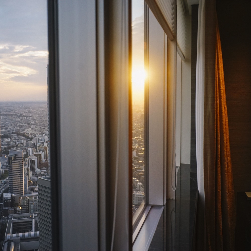 パークハイアット東京 東京