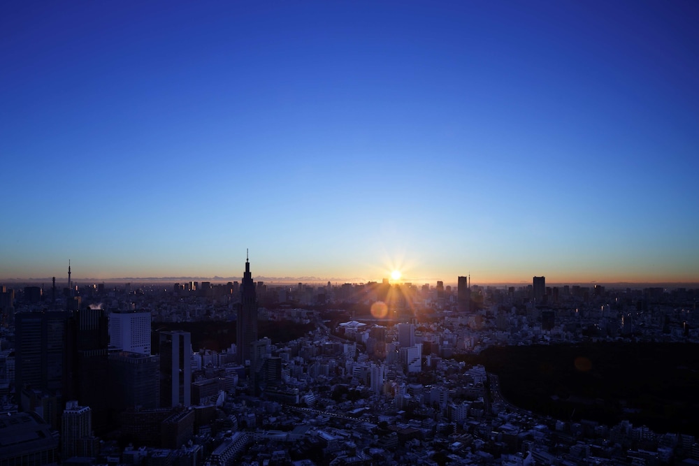 パークハイアット東京 東京