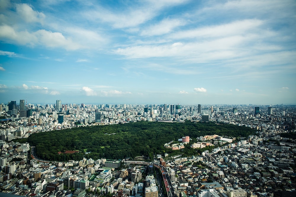 パークハイアット東京 東京