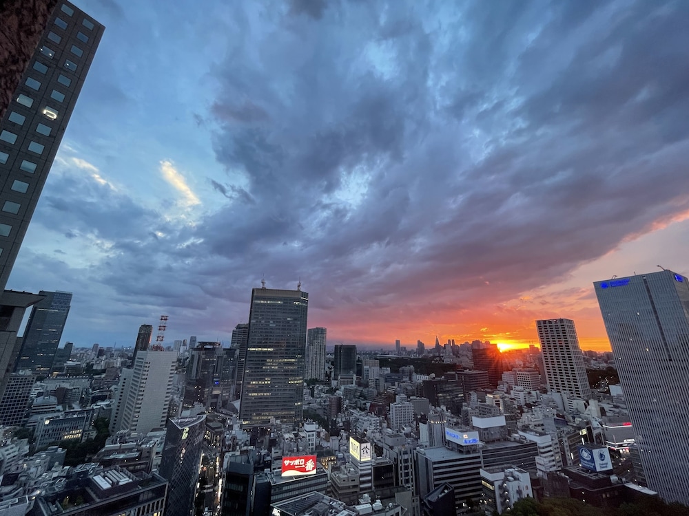 ザ・キャピトルホテル 東急 東京