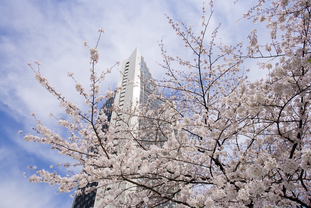 ANAインターコンチネンタルホテル東京 バイ IHG 東京