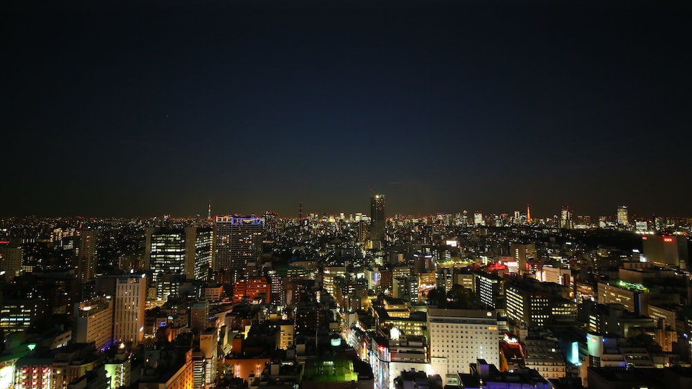 ホテルグレイスリー新宿 東京