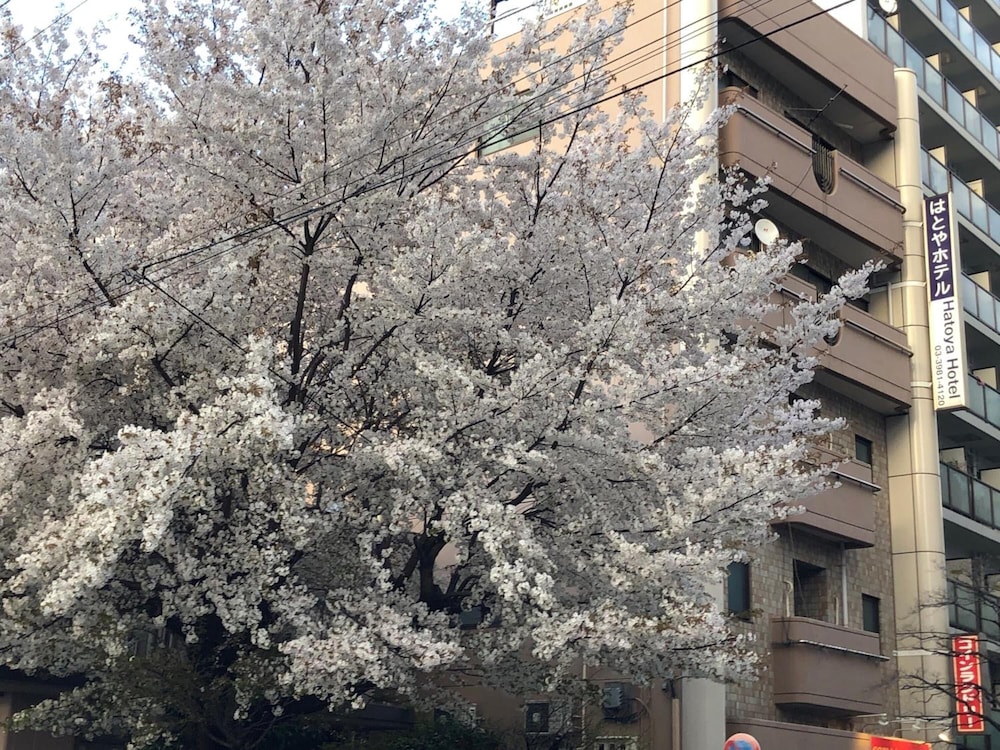 はとやホテル 東京