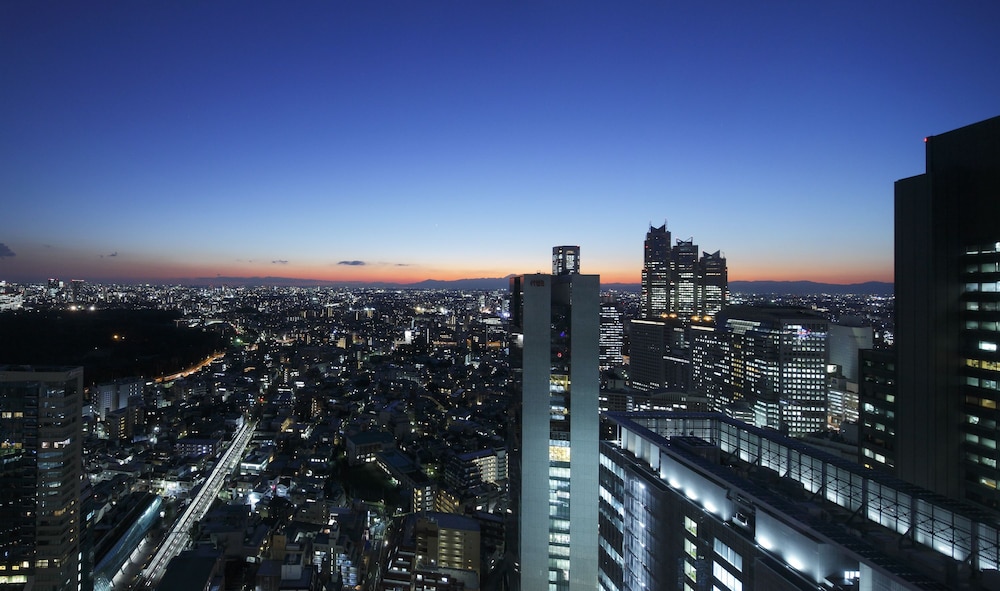 小田急ホテルセンチュリーサザンタワー 東京