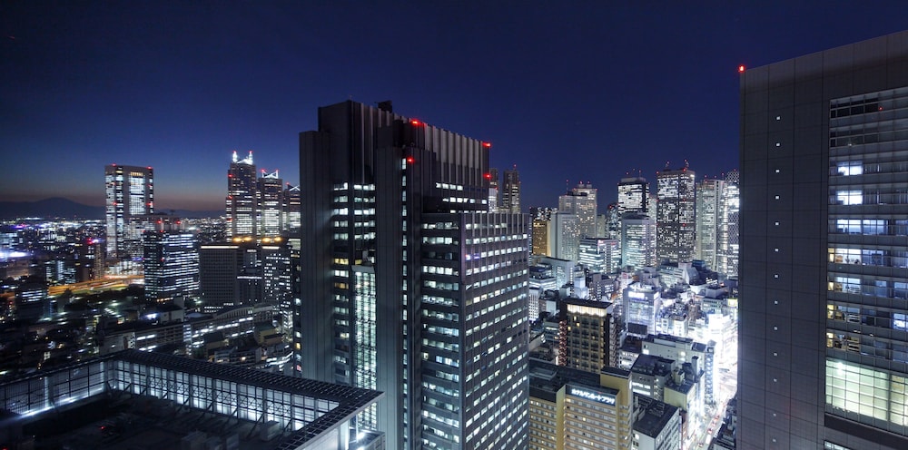 小田急ホテルセンチュリーサザンタワー 東京