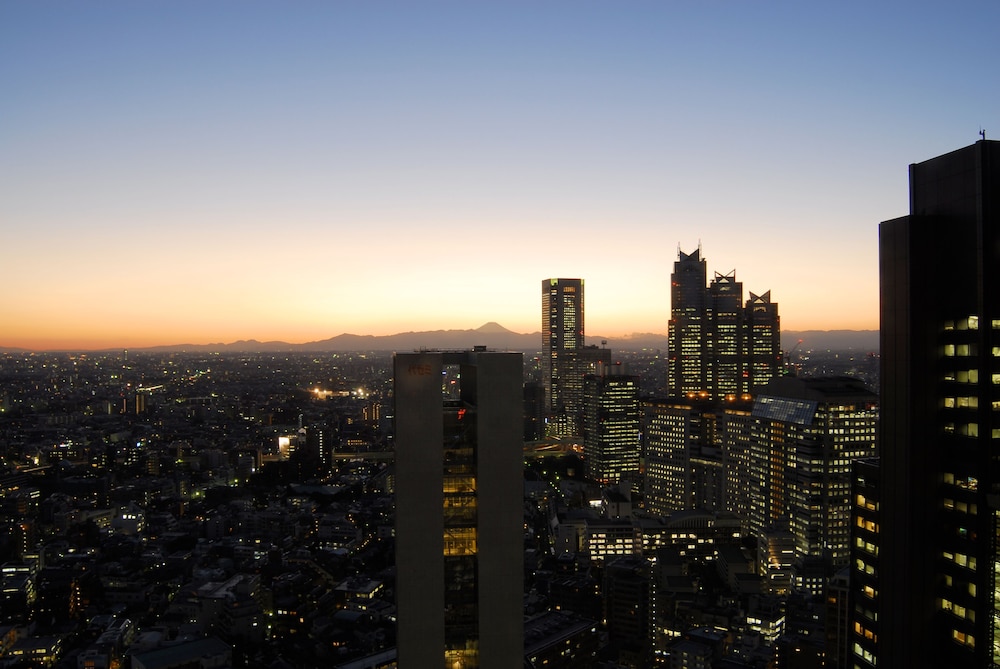小田急ホテルセンチュリーサザンタワー 東京