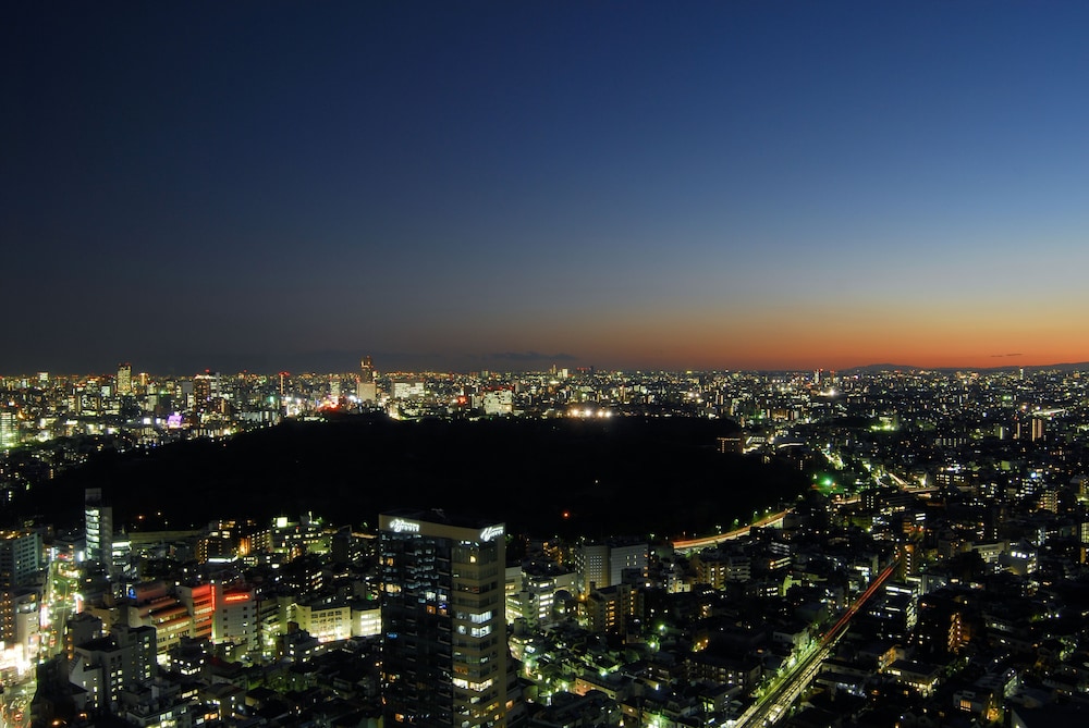 小田急ホテルセンチュリーサザンタワー 東京