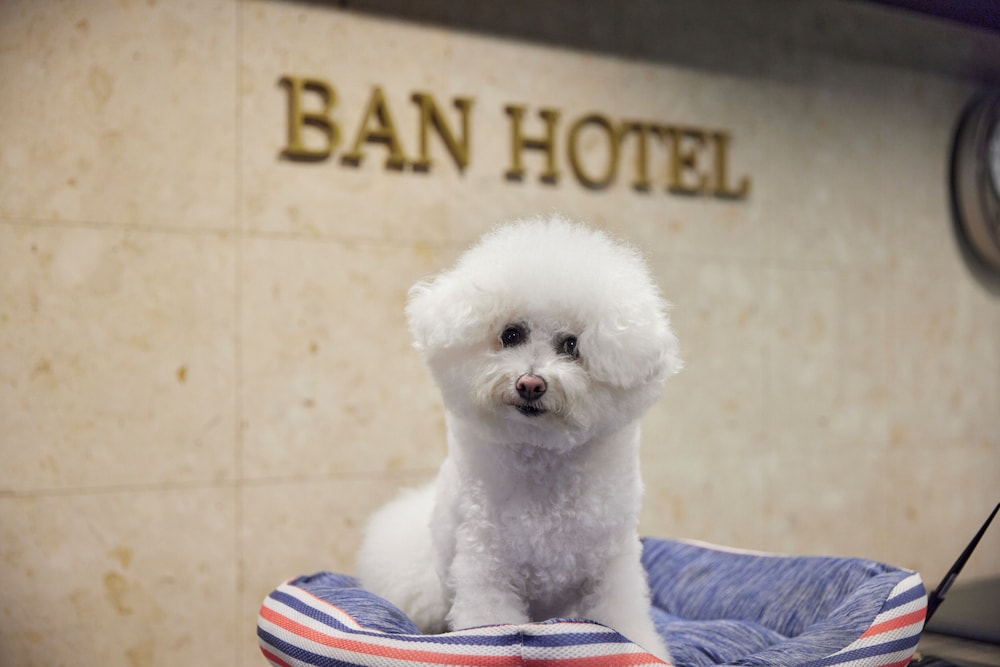 BAN HOTEL 築地銀座 東京