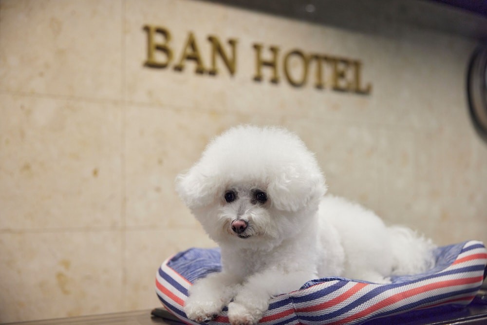 BAN HOTEL 築地銀座 東京