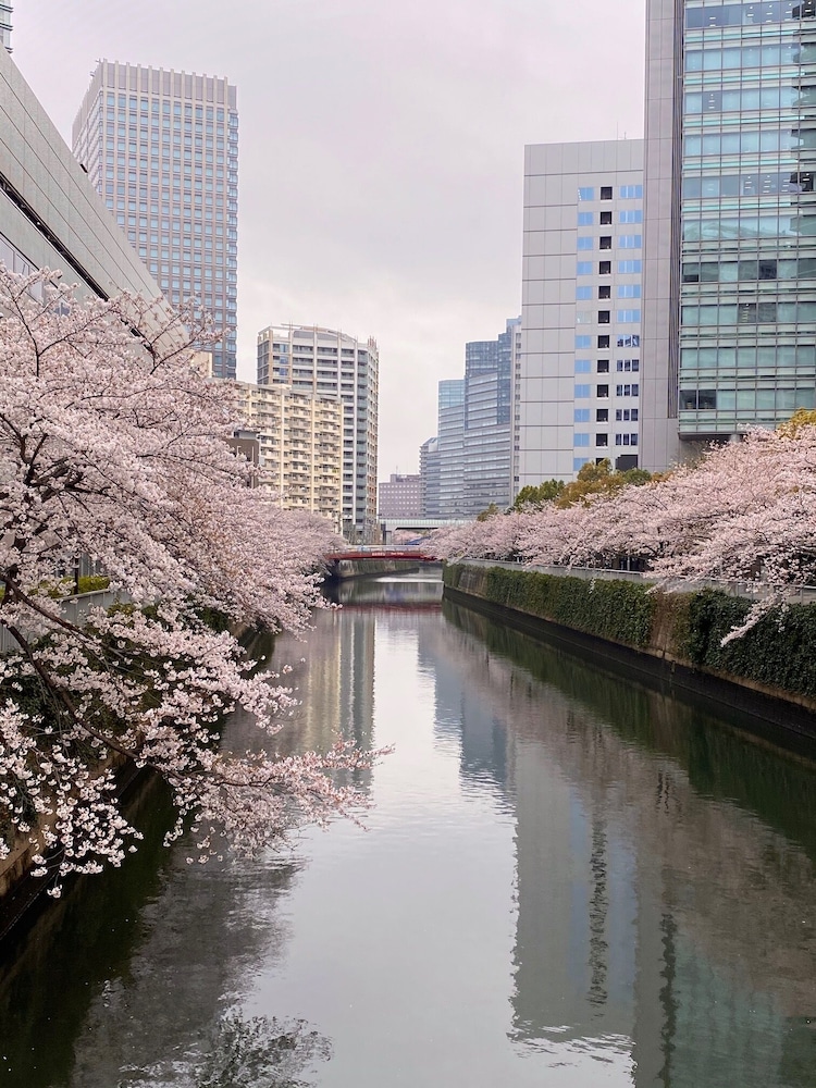 旅館 山水荘 東京