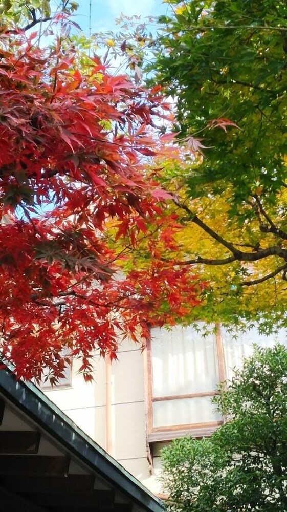 鳳明館 森川別館 東京
