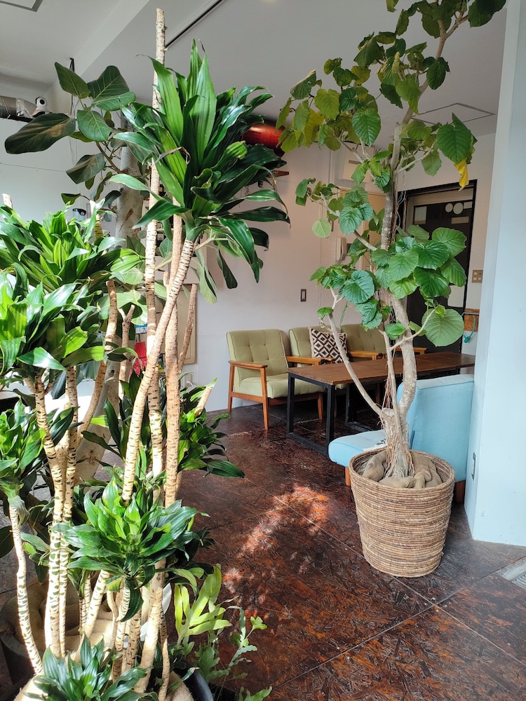 TOKYO GUEST HOUSE OUJI MUSIC LOUNGE 東京