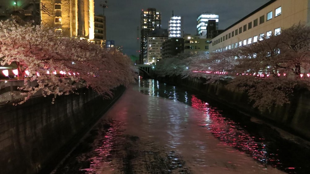 ノーボーダーズ ホステル 東京