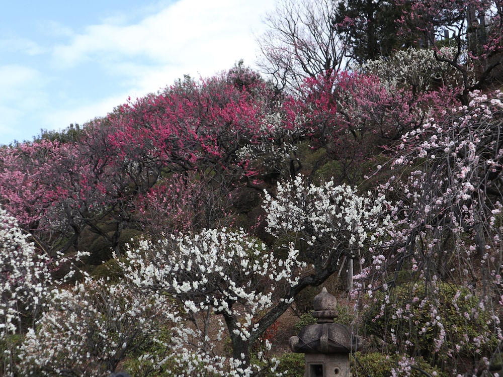 東横 INN 蒲田東口 東京