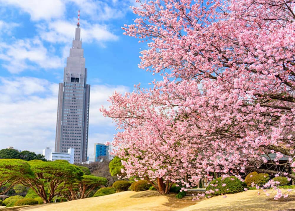 HOTEL BLUE EMPIRE IN SHINJUKU 東京