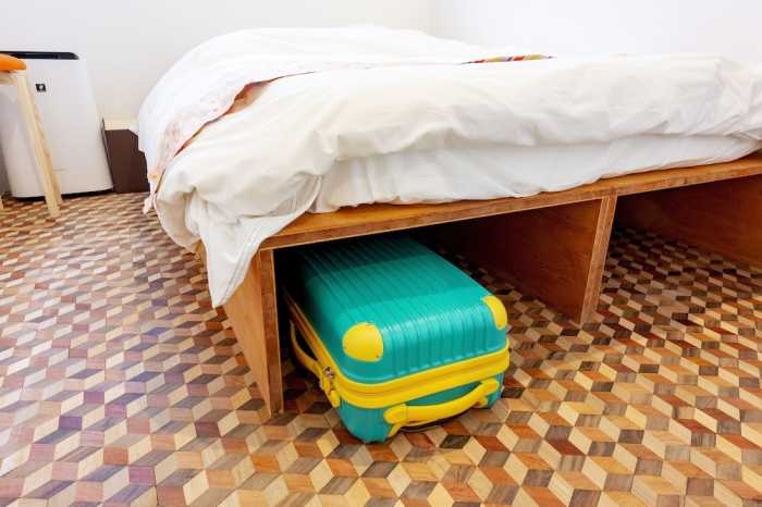 PLAT HOSTEL KEIKYU ASAKUSA KARIN 東京