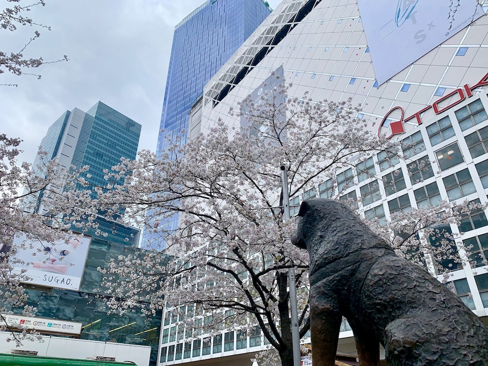 アパホテル渋谷道玄坂上 東京