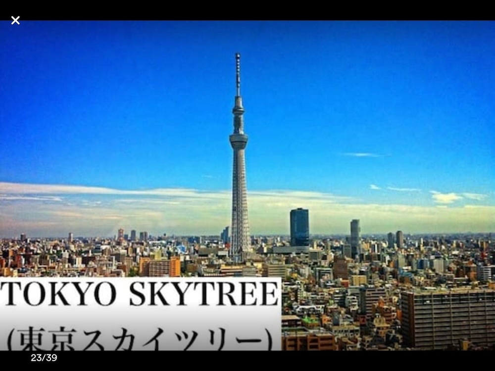MAY KAMEIDO 東京