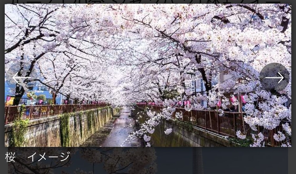 MAY KAMEIDO 東京