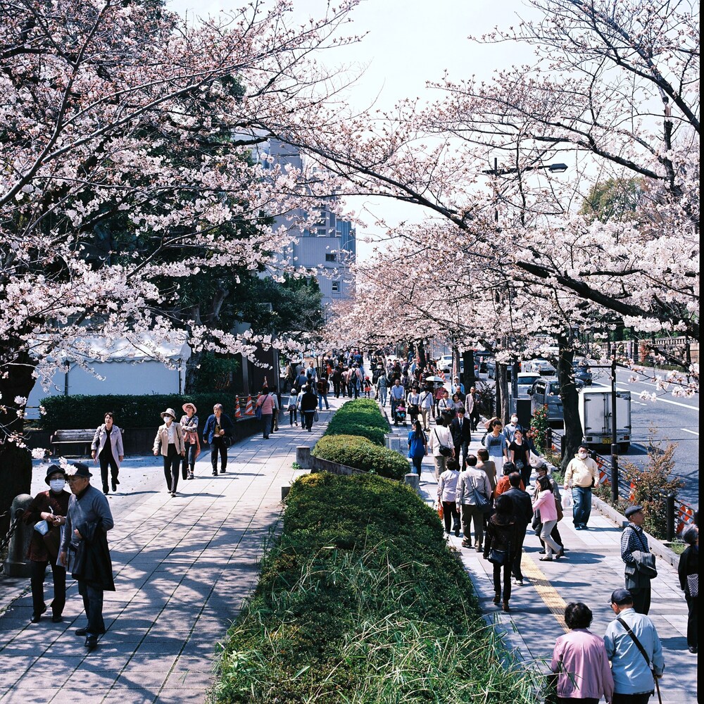 コンドミニアムホテル欅庵東京日本橋 東京