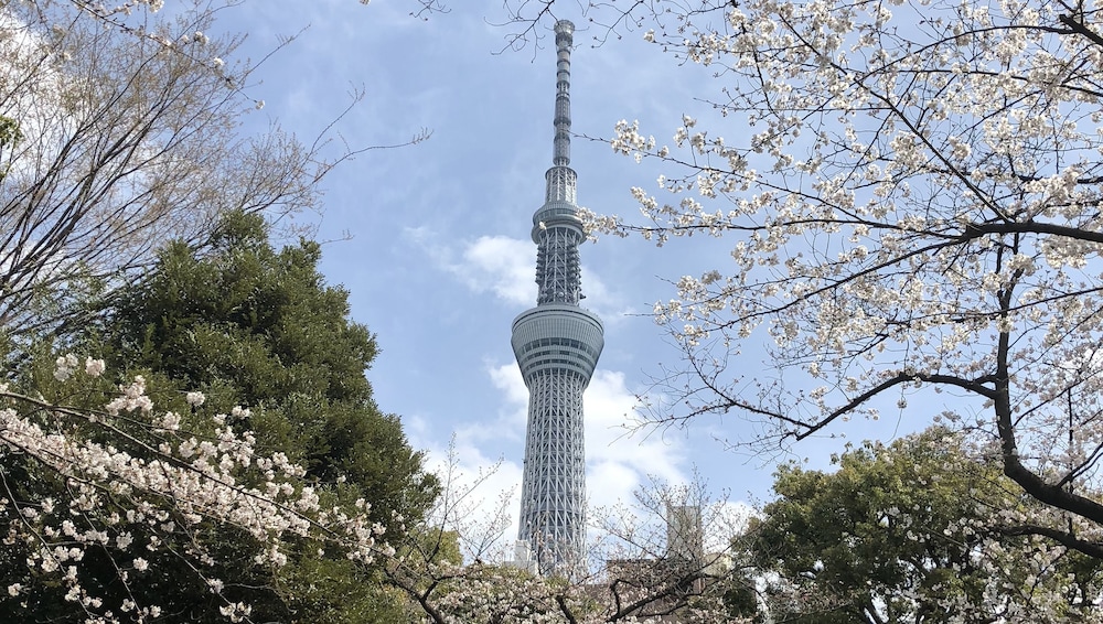 LA KRASSE 墨田 東京