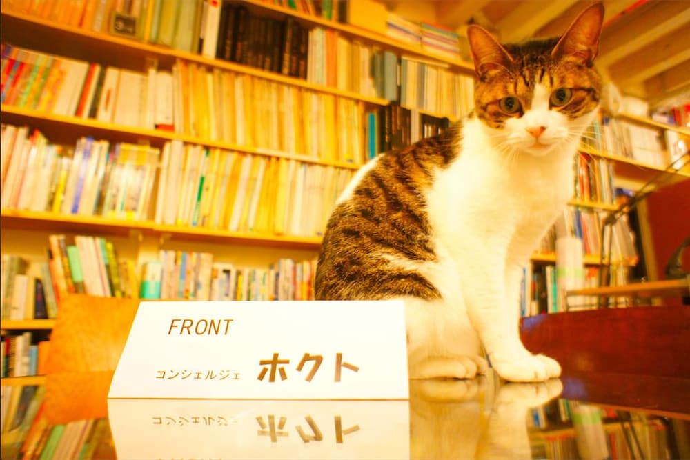 葡萄の長屋 東京