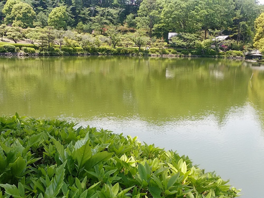 東横 INN 町田駅小田急線東口 東京