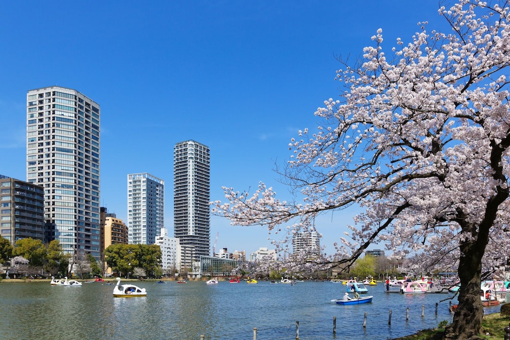 MR.KINTARO 浅草東駒形 東京