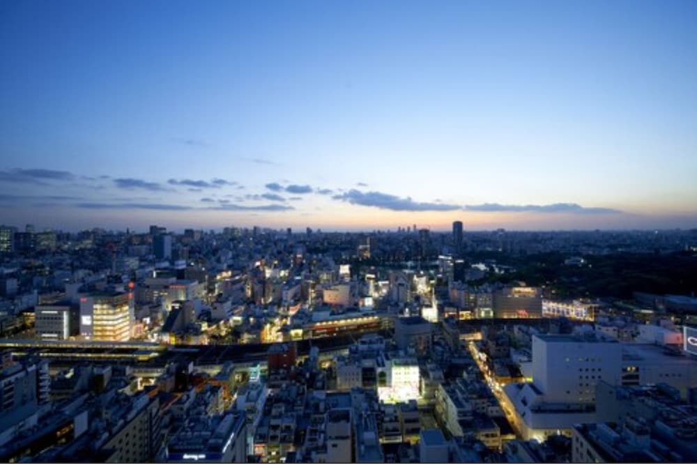 ホテルクラウンヒルズ上野プレミア 東京