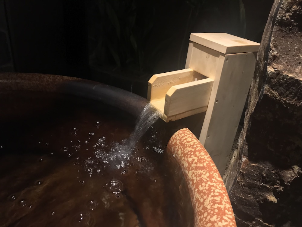 天然温泉 凌雲の湯 御宿 野乃 浅草 東京