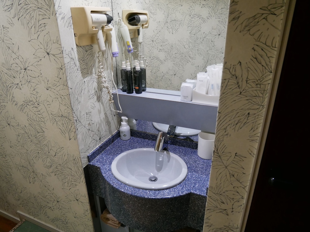 国際ホテル歌舞伎町 東京
