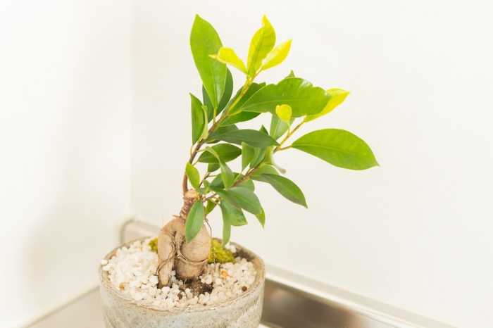 K&K APARTMENT KITA-AKABANE 301 東京