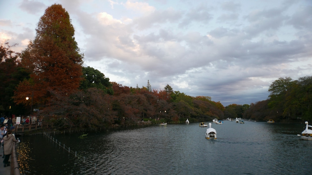 KAME 103 東京