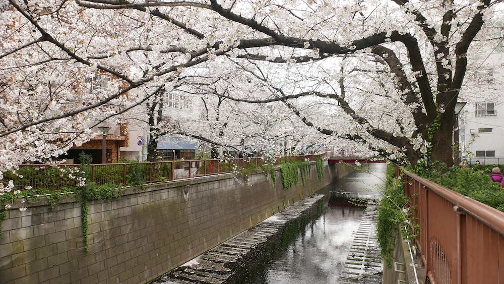 KAME 103 東京