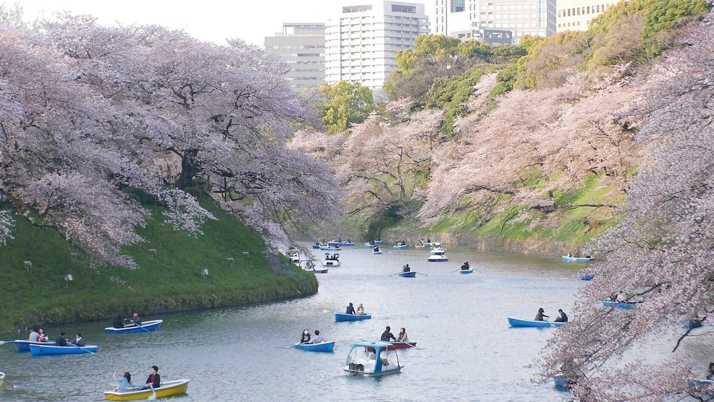 KAME 103 東京
