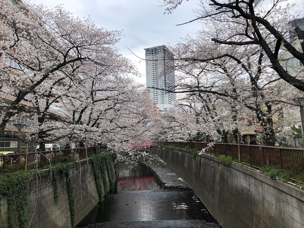 HEIAN SEDAI 東京