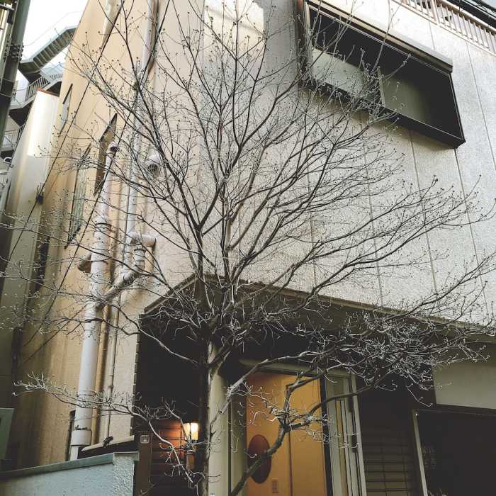 ネスレ東京ラグジュアリー大塚 東京