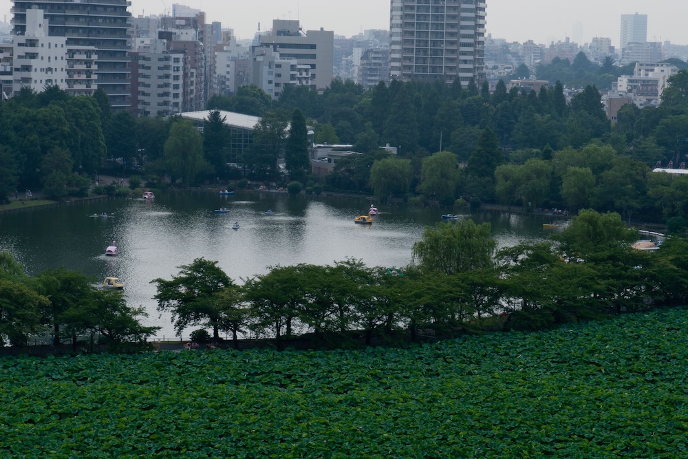 ホテル ココ・グラン上野不忍 東京