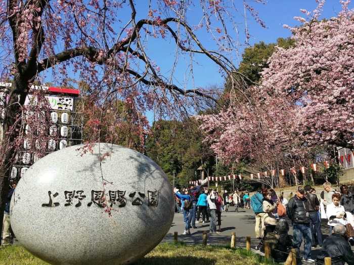 レインボービレッジ上野 東京
