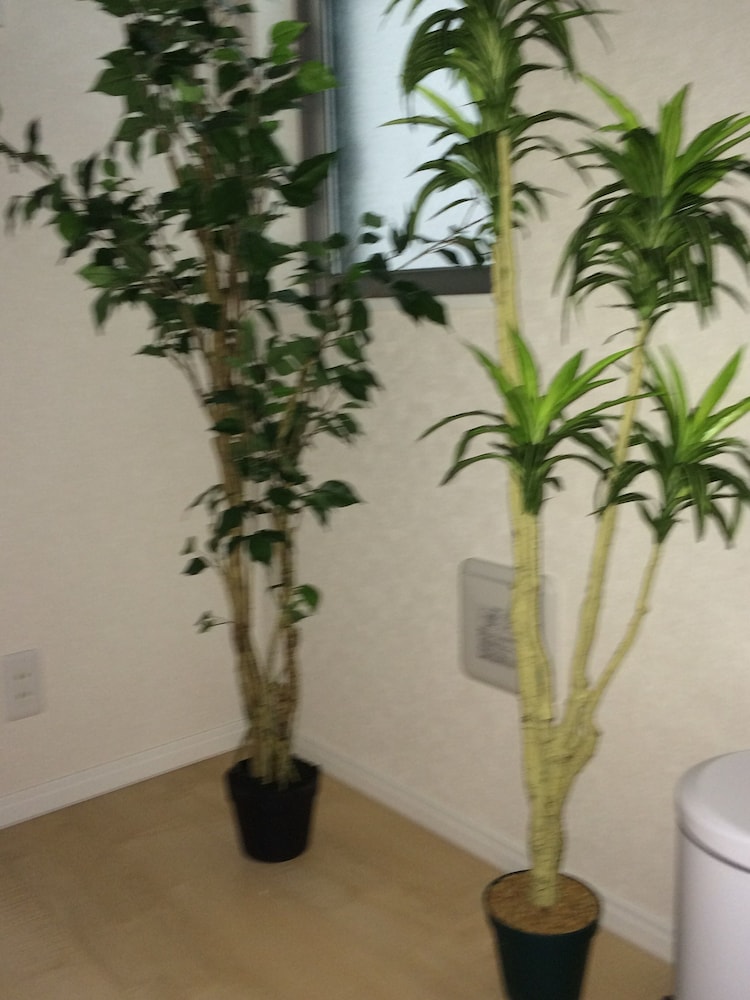 KASAI GUEST HOUSE, 4MIN TO KASAI STA, DIRECT BUSES TO AIRPORT & DISNEY 東京