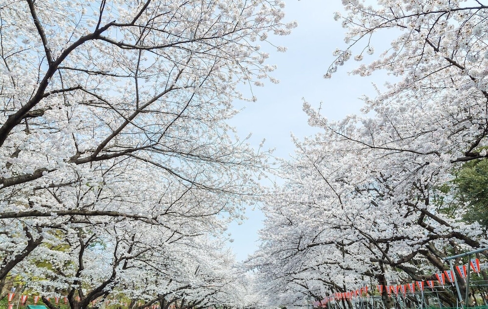 アパホテル〈上野広小路〉(全室禁煙) 東京
