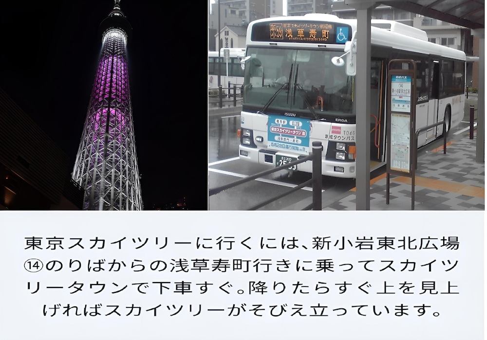 サイプレスイン東京 東京