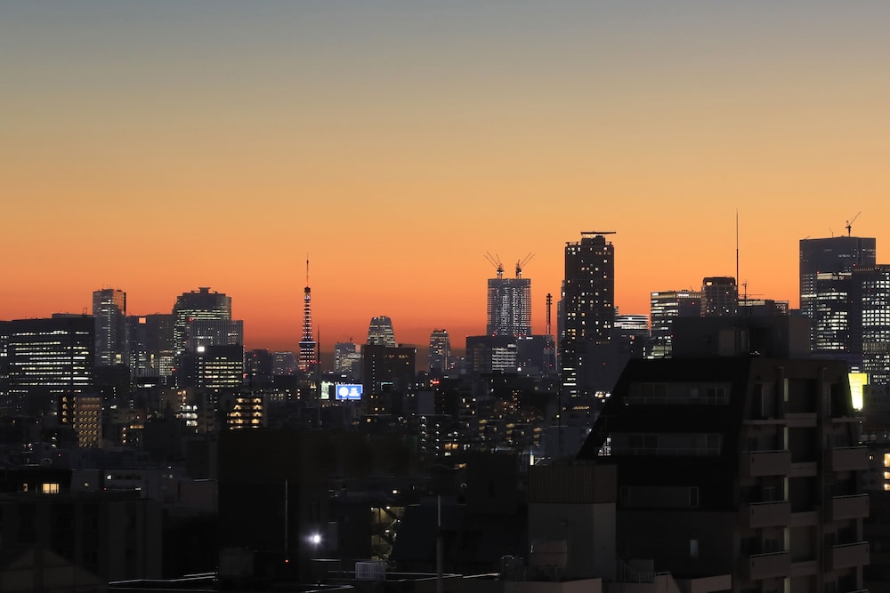 ホテルファミーINN・錦糸町 東京