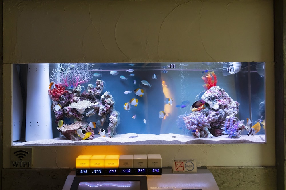 WATER HOTEL CY - 大人限定 東京