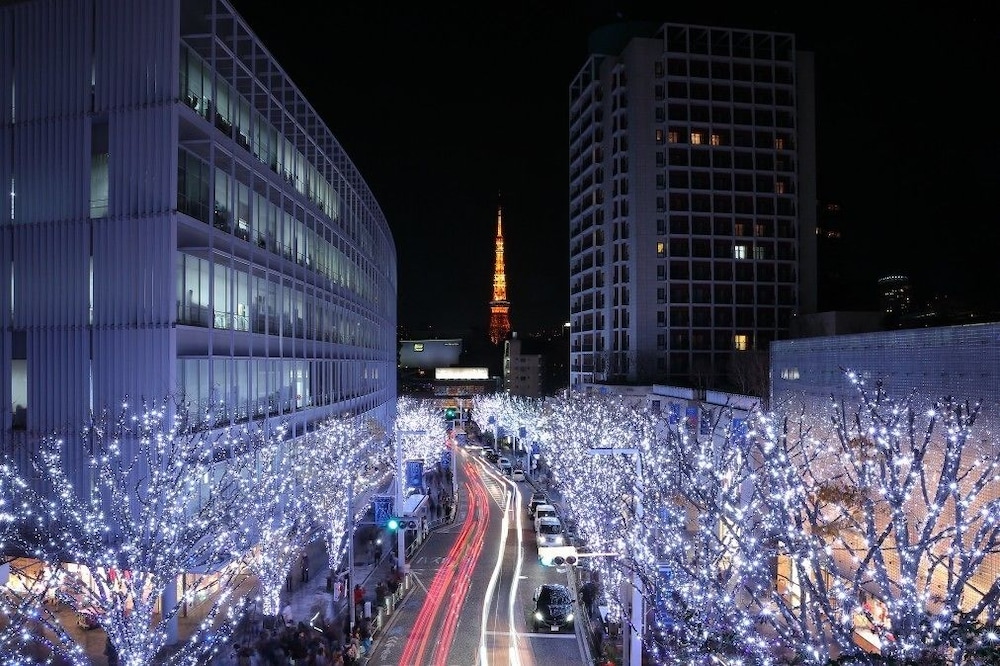 THE LIVELY 東京麻布十番（ザ・ライブリー東京麻布十番） 東京