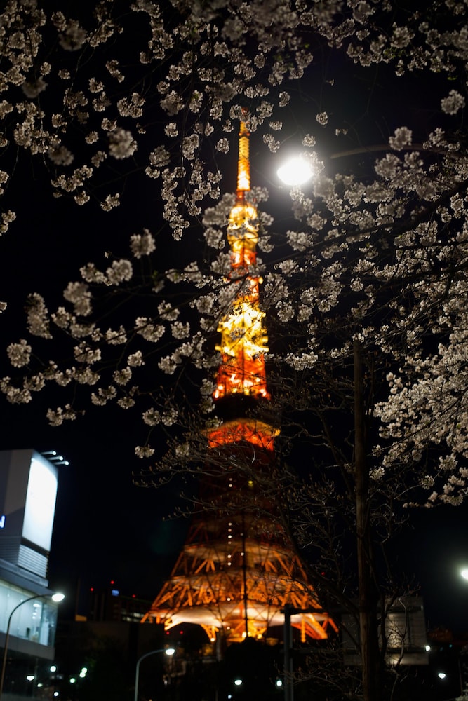 ZAITO 東京菊川民宿 (ZAITO TOKYO KIKUKAWA ECONOMY INN) 東京